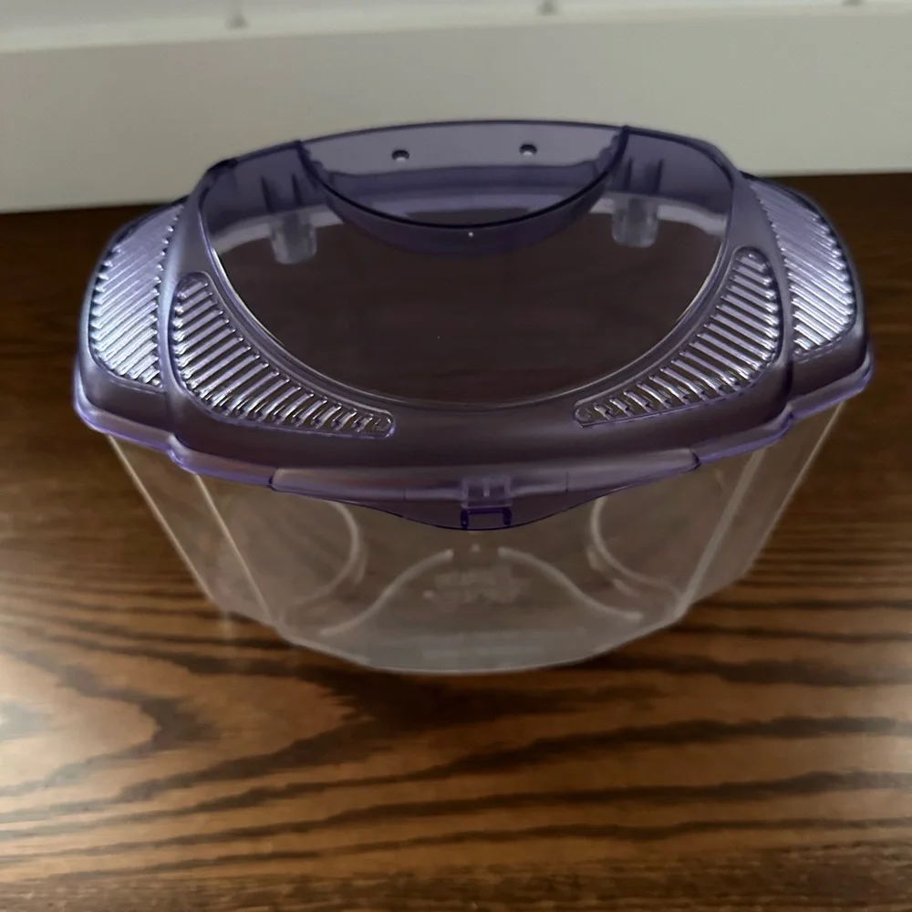 Beta fish tank